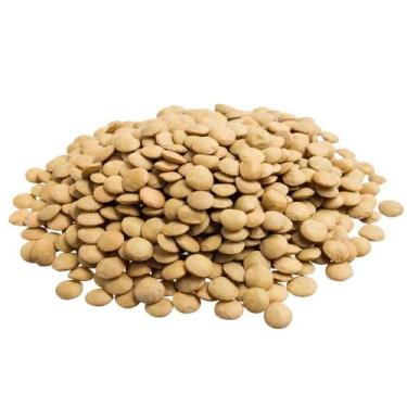 Imagem de Lentilha canadense - C2 ALIMENTOS