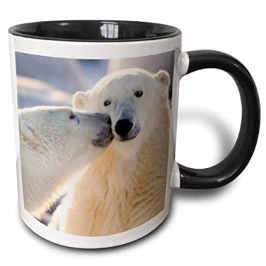 Imagem de 3dRose mug_70261_4" Canada, Manitoba, Hudson Bay, Churchill, Urso Polar -CN03 BJA0001 - Janyes Gallery" Caneca preta de dois tons, 325 ml, multicolorido