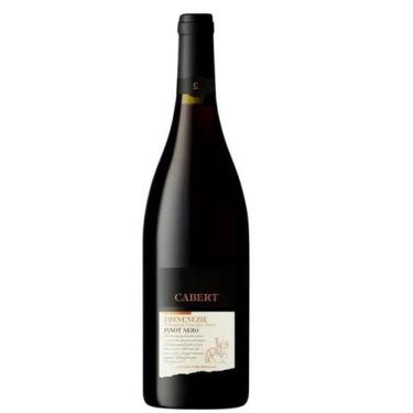 Imagem de Vinho Tinto Cabert Pinot Nero Trevenezie IGT 2022 - 750ml