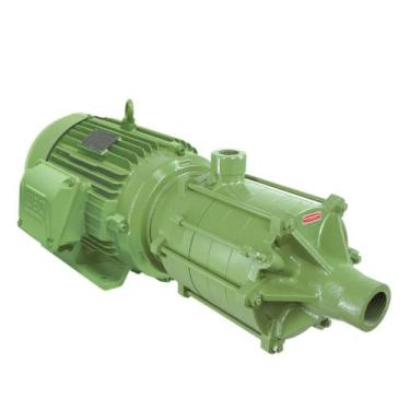 Imagem de Bomba D'água Centrífuga Horizontal Multiestágios Me-Al 24125 V 12.5cv 