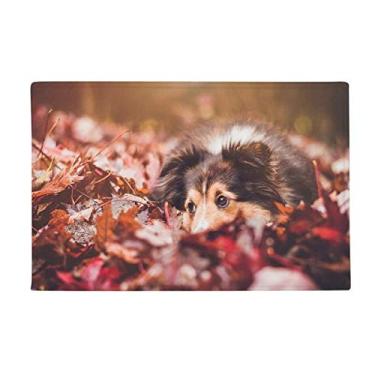 Imagem de DIYthinker Tapete antiderrapante para porta de banheiro com folha de animal para cachorro