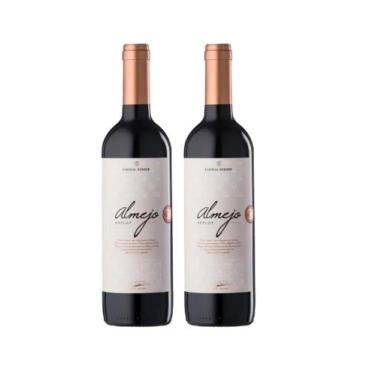 Imagem de Kit 2 Un Vinho Família Bebber Almejo Merlot 750 ml