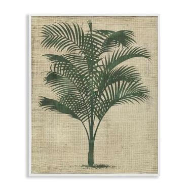 Imagem de Stupell Industries Design de arte de parede giclée emoldurado com planta de palmeira vintage branca por June Erica Vess, 40,6 x 50,8 cm