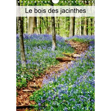 Imagem de Le bois des Jacinthes (Calendrier mural 2021 DIN A4 vertical): Hallerbos, la forêt féerique (Calendrier mensuel, 14 Pages)