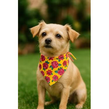 Imagem de Bandana Pet Floral Feminina – Coleção Flores do Sol | Estampa Vibrante com Rosas | Acessório Confortável para Cães e Gatos | Ajustável, Leve e Durável | Doca Express (Pequeno)