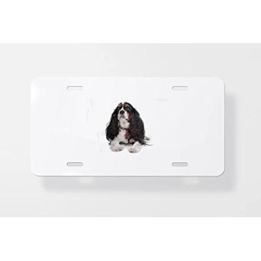 Imagem de Capa para placa de carro Cavalier King Charles Spaniel – Capa para placa de carro – Capa para placa de carro 15 x 30 cm
