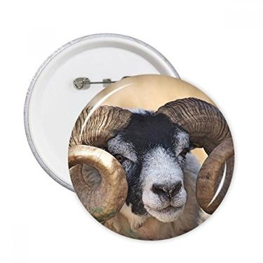 Imagem de Quadro organismo terrestre animais selvagens alfinetes redondos crachá botão emblema acessório decoração 5 peças