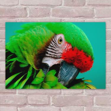 Imagem de Placa Decorativas Animais 86 Pássaro