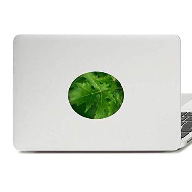 Imagem de Adesivo de notebook com emblema de vinil da natureza com folhas frescas
