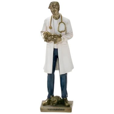 Imagem de Escultura Decorativa Médico Veterinário Cachorro Gato 25cm