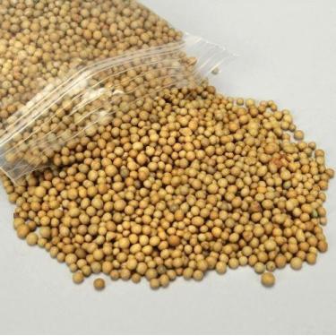 Imagem de Adubo Osmocote 400 grs- Liberação Lenta - Orq JB