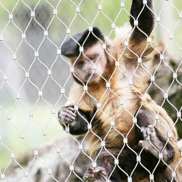 Imagem de FORRTY Rede De Corda De Aço Inoxidável 304, Redes De Proteção Contra Quedas De Alta Altitude, Malha De Balaustrada De Cabo Flexível, 1X1㎡, Adequada Para Escadas, Sacadas, Zoológicos/jardins Botânicos(