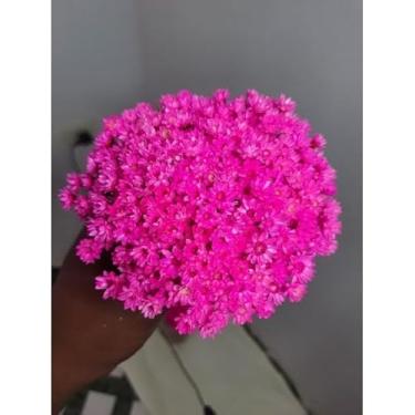 Imagem de Flor Sempre-Viva Natural Desidratada Kit 300 600 1200 Flores – Decoração Festa Casamento e Arranjos Artesanais (Rosa pink,300 flores (2 buquês))