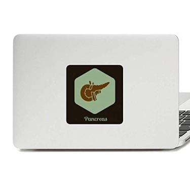 Imagem de Adesivo de vinil de pâncreas com órgãos internos corporais, adesivo de laptop para decoração de PC