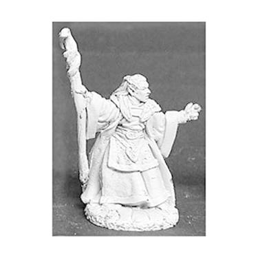 Imagem de Dark Heaven Legends Miniatures Aramil 02473