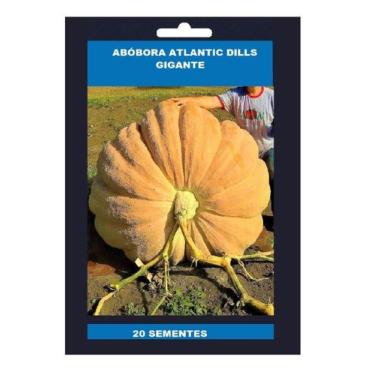 Imagem de Sementes de Abóbora Gigante Dills Atlantic Guinnes 100 unidades - GDEZ