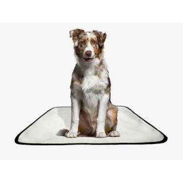 Imagem de Tapete Pet Reutilizável Adestramento Oferta 7 Un M 60X80 Cm - Shelby M
