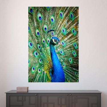 Imagem de Painel Adesivo de Parede - Pavão - Animais - 1844pnp