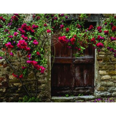 Imagem de Fundo Fotográfico Em Tecido Muro De  Rosa 2,80X1,50 - Mix estilos