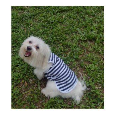 Imagem de Roupinha Pet Tipo Camiseta, Regata Verão, Cachorros E Gatos - Boutique