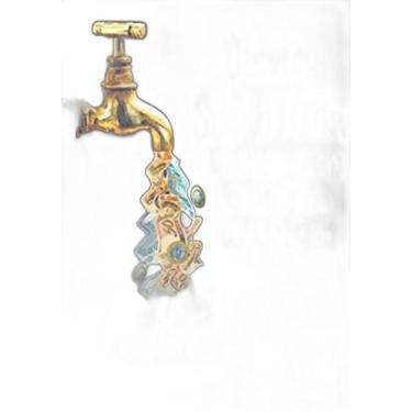 Imagem de Livro Exmo Sr. Prefeito Município Sem Gestão Não Tem Solução - QUALITY