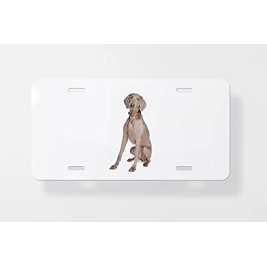Imagem de Capa para placa de carro Weimaraner 2 – Capa para placa de carro – Capa para moldura da placa de carro 15 x 30 cm
