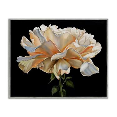 Imagem de Stupell Industries Delicadas pétalas de cravo sobre preto cinza emoldurado giclée design de arte por Liz Jardine, 28 x 35 cm