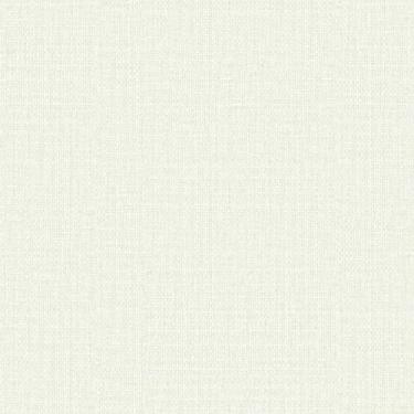 Imagem de Papel de parede Texture III Linho cinza claro TX-3034 Edantex