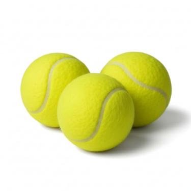 Imagem de Kit 3 Bolinhas de Tênis Bola Para Treino Lazer Frescobol Beach Tennis Brinquedo Cachorro Squash Grama Praia Quadra Semi Profissional
