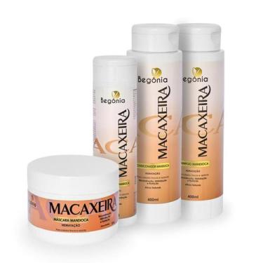Imagem de Kit Begonia Macaxeira - Begônia