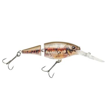 Imagem de Berkley Isca de pesca articulada Flicker Shad, HD Blacknose Dace, 1/5 onça, 5 cm | Crankbaits de 5 cm, tamanho, perfil e profundidade de mergulho imita real Shad, equipado com gancho Fusion19