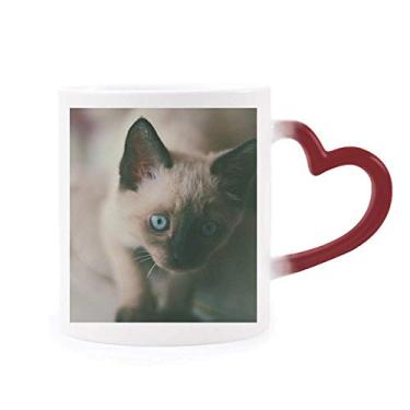 Imagem de Caneca de grés vermelha com foto cinza gatinho sensível ao calor com olho azul