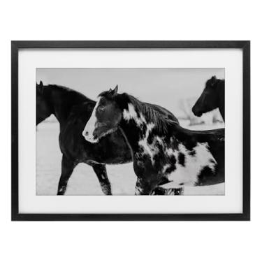 Imagem de Stupell Industries Impressão emoldurada preta e branca de cavalos de inverno em preto e branco design sob vidro por Amy Carroll, 14 x 20