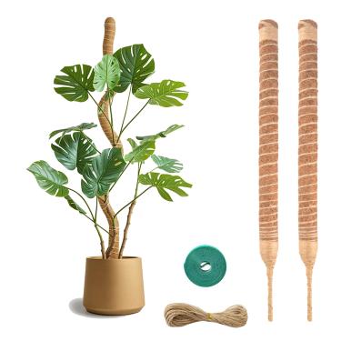 Imagem de Pacote com 2 postes dobráveis de musgo de 50 cm, estaca de suporte para plantas Monstera, varas de coco para plantas de interior, vasos trepadeiras, pothos, filodendro com laços de plantas