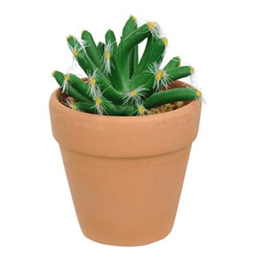 Imagem de Vaso Com Cacto Castelo de Fada Verde 14x6 Cm - D'Rossi