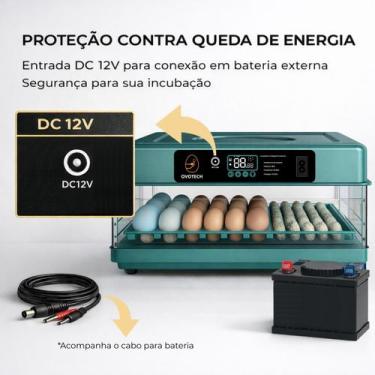 Imagem de Chocadeira de Ovos 130 110v 127v com Rolagem Automática Ovoscópio e Co