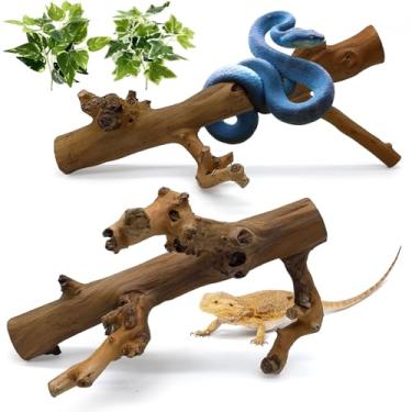 Imagem de kathson 2 ramos de escalada de cobra, decoração de ramos de madeira de répteis, madeira polida natural para acessórios de escalada de habitat de lagarto, ornamento de tronco de árvore para dragões