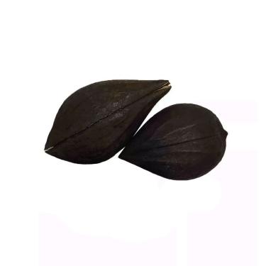 Imagem de Fava De São Cipriano Garra Exu Assentamento e Ritual Unidade