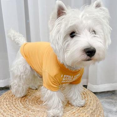 Imagem de Camisas para cães, algodão macio, roupas para cães, camiseta elástica para cães pequenos, gatos, roupa respirável para filhotes, suéter para animais de estimação, moletom básico, amarelo, tamanho GG