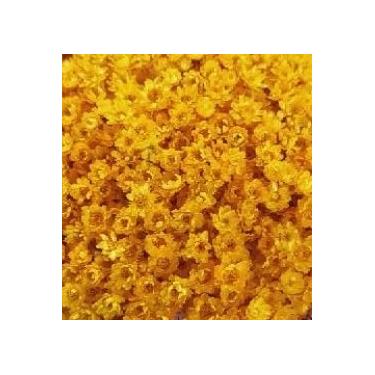 Imagem de Flor Sempre Viva Branca I Kit com ate 1.200 Flores Secas, Buquês, Decoração de Casamento e Eventos - Beleza Natural Eterna(Amarelo,4buquês)