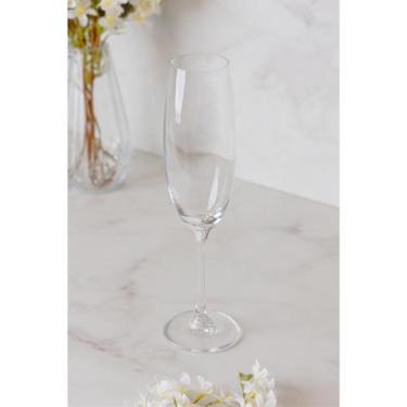 Imagem de Taça de Degustação de Champanhe Lyor de Cristal 220ml - Wolff