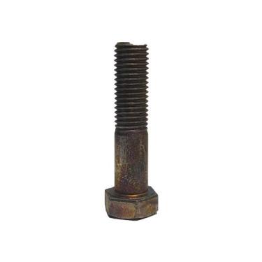 Imagem de Parafuso Suporte Amortecedor Sextavado Inferior Para Iveco Stralis - 1