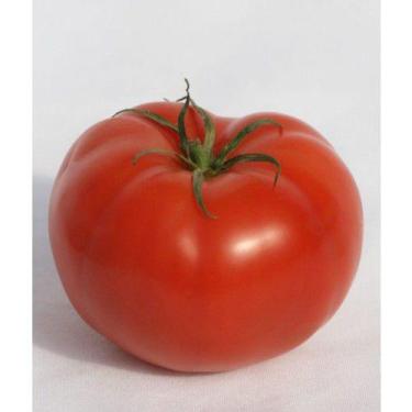 Imagem de Tomate Hibrido Cedro - 143mg / 50 Sementes - Isla