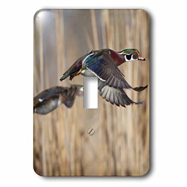 Imagem de 3dRose lsp_95624_1 EUA, estado de Washington, pato de madeira, masculino, feminino, Flight Us48 Glu0011 Gary Luhm tampa de interruptor de luz