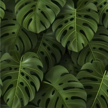 Imagem de Leliz Papers, Papel De Parede Adesivo Folhagem Costela De Adão Verde 15m