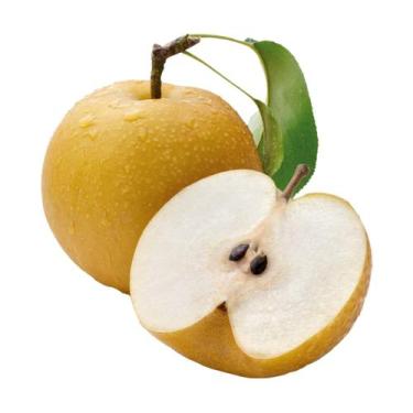 Imagem de Muda Frutífera de Pera Hosuii (Mole) Enxertada - AgroJardim