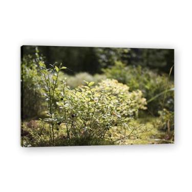 Imagem de LKXGRRSFG Impressão em tela de paisagem de verão de vitalidade tenaz – Impressão HD realista de cenário de verão para arte de parede doméstica 19,78 x 50 cm