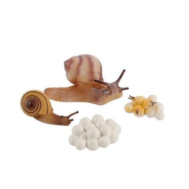 Imagem de Figura do inseto de 4 partes ninhada plástica do ciclo de vida animal 