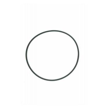 Imagem de Anel Vedacao Bomba Oleo International 9800 3033247 - Cummins