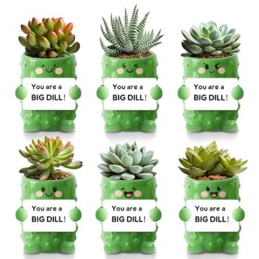 Imagem de Roshtia Pacote com 6 vasos de 6 cm de suporte emocional para picles e suculentas com orifício de drenagem, mini vasos de flores fofos para casa, escritório, decoração de jardim, suporte de amigos